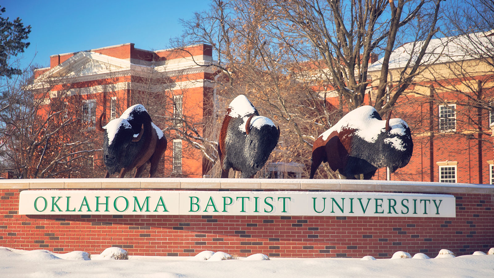 Oklahoma Baptist University